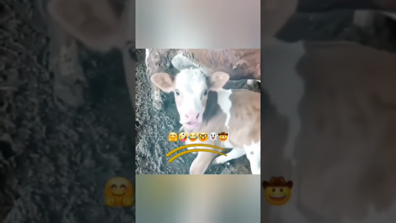 MrEITA funny video😂😂😂#mreita