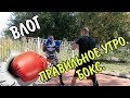 Возвращаюсь к тренировкам. Бокс. Как поставить удар?