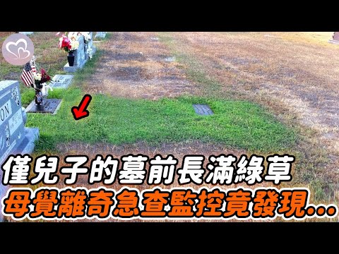僅兒子墓前長滿綠草，母覺離奇急查監控，下秒看到的真相讓她泣不成聲！#暖心 #暖心故事 #正能量 #淚目 #生活 #溫暖 #社會新聞 #老人 #感動 #暖心時刻