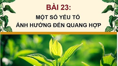 BÀI 23  CÁC YẾU TỔ ẢNH HƯỞNG ĐẾN QUANG HỢP Ở CÂY XANH. KHTN 7