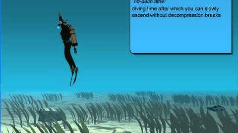 How to Avoid Decompression Sickness