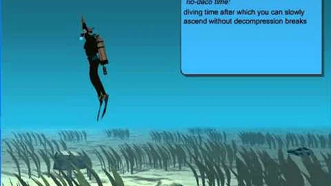 How to Avoid Decompression Sickness