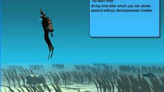 How to Avoid Decompression Sickness