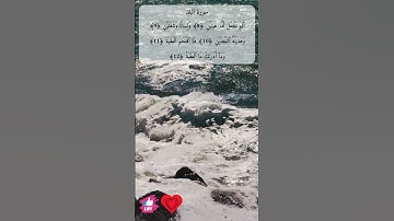 الم نجعل له عينين | سورة البلد #دعاء_ورسالة
