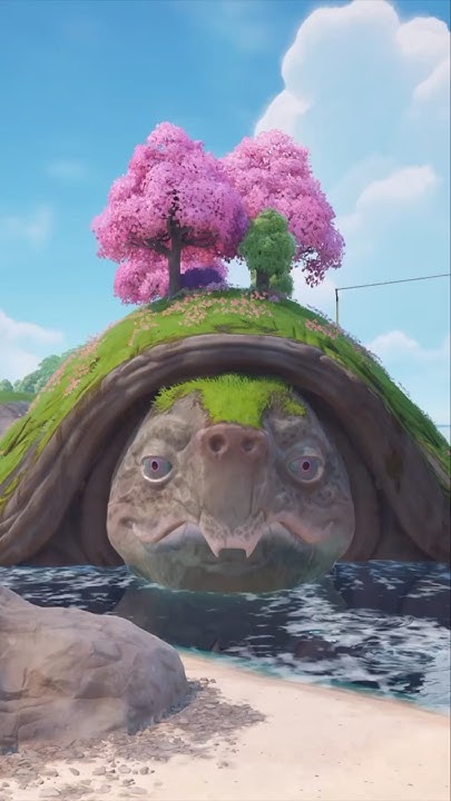 The Turtle's GIRLFRIEND! 🐢 - YouTube