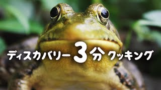 ディスカバリー3分クッキング | カエルの丸焼き | (ディスカバリーチャンネル)