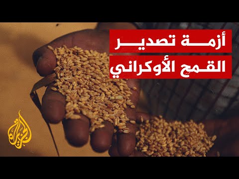 أزمة تصدير القمح الأوكراني إلى العالم.. ما تداعياتها؟