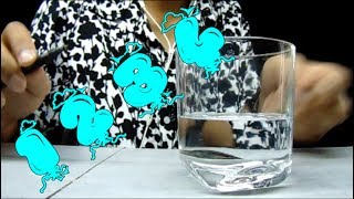 1 2 3 4 - Pen Tapping cover by Seiryuu