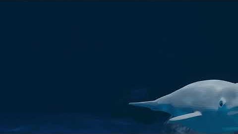 Beluga Whale | Made with Blender 2.82