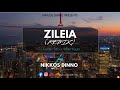 ZILEIA (Nikkos Dinno Remix) - Dj Golden Feta x White Biggie