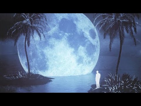 Shiloh Dynasty Losing Interest Sped Reverb