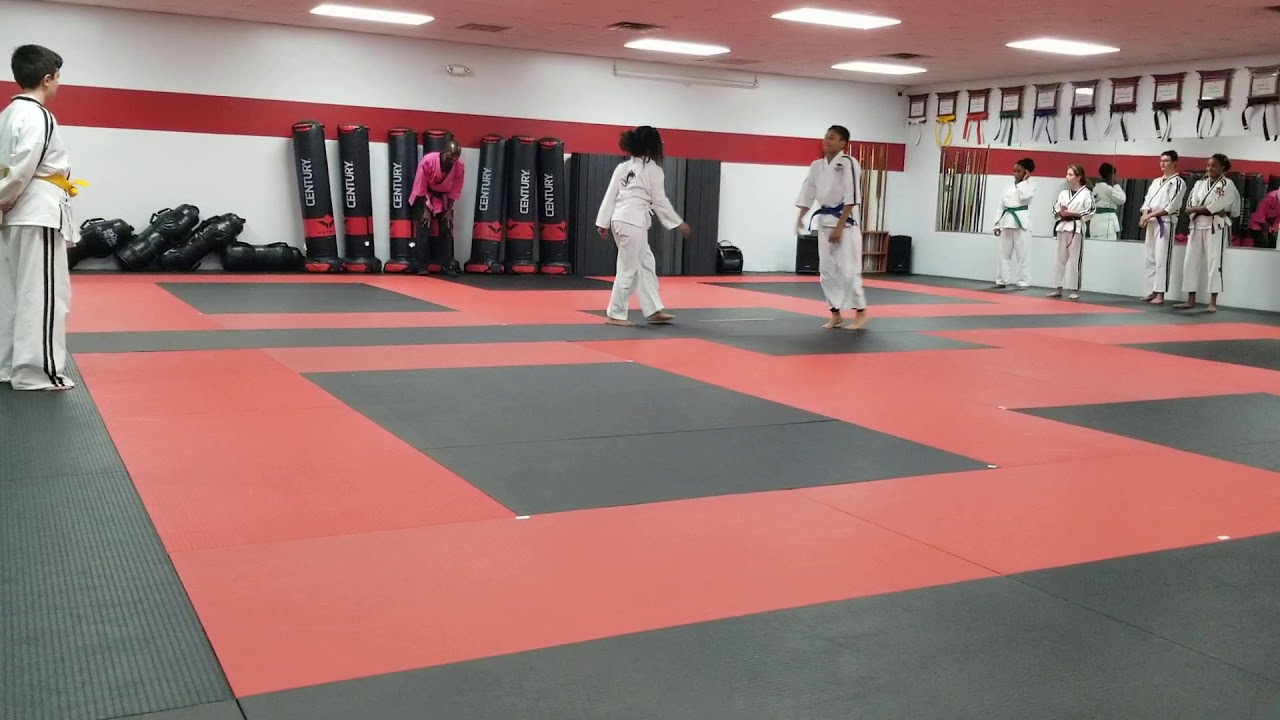 Sierra self defense YouTube