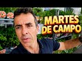 Título SEO: Desbrozadoras, gallinas y novedades Enlago para el campo