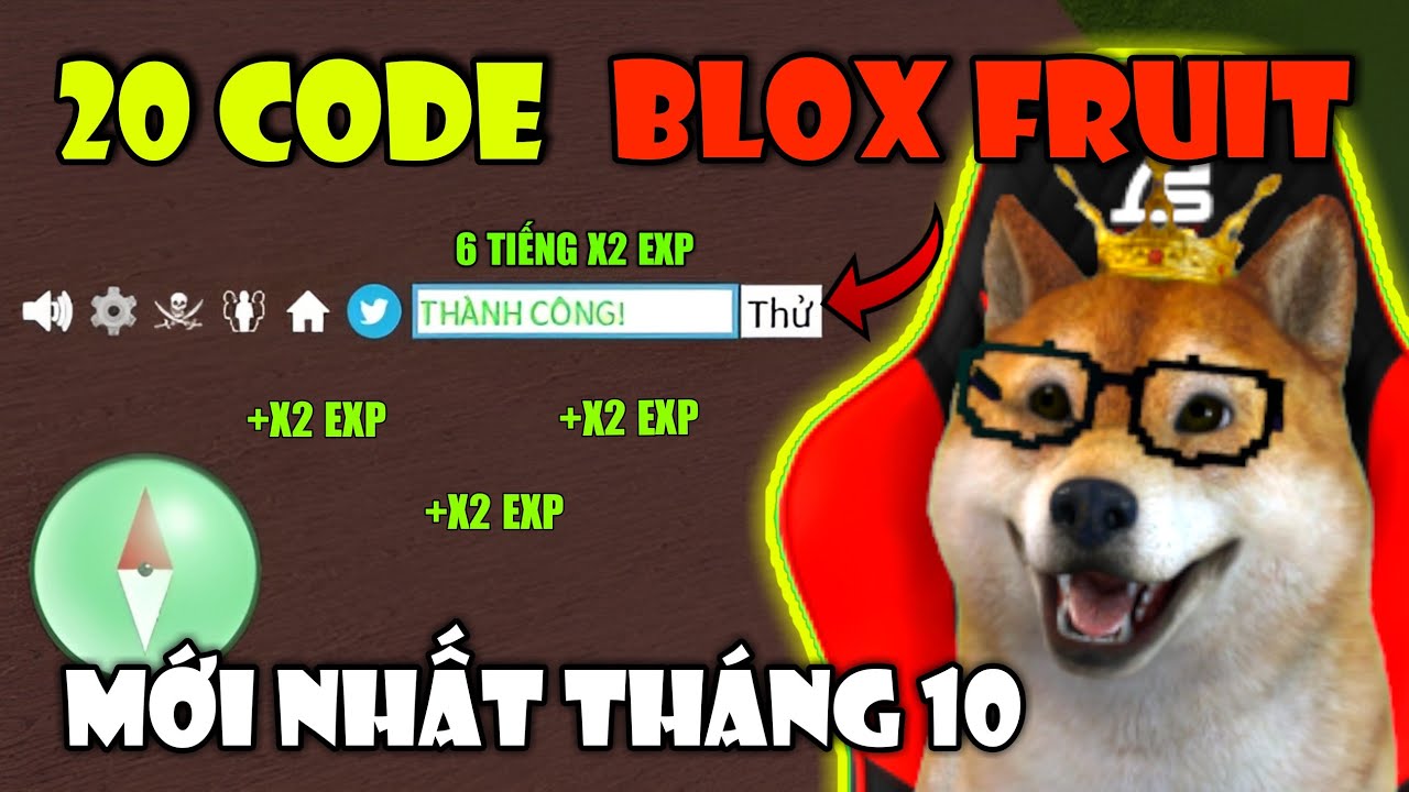 Code Blox Fruit (Blox Piece) tháng 12/2023 x2 EXP, reset chỉ số mới