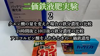 二価鉄液肥実験2