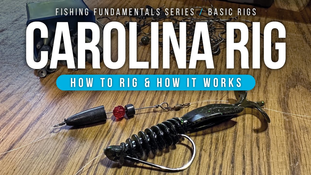 How to Fish a Carolina Rig