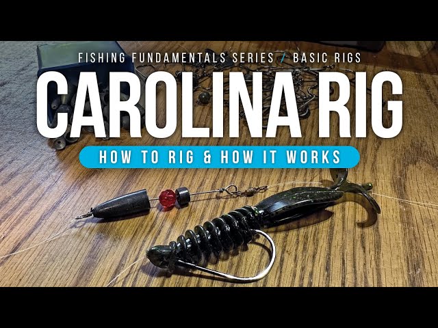 The CAROLINA Rig – How to RIG & HOW it Works! 