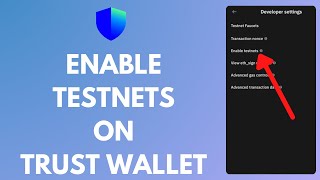 How to Enable Testnets in Trust Wallet 2024? (Pro Tips) screenshot 3