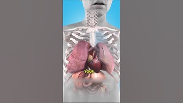 What Happens If Your Lungs Get Punctured #shorts #lungs