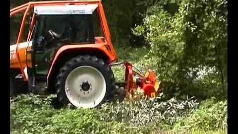 SEPPI M. - MINIFORST - light Forestry mulcher / Forstmulcher / trincia forestale leggera