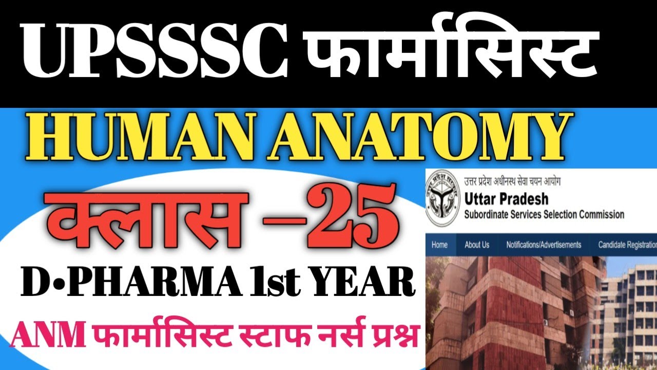 #upssscpharmacist UPSSSC PHARMACIST मुख्य परीक्षा क्लास 25 human anatomy questions #pharmacist