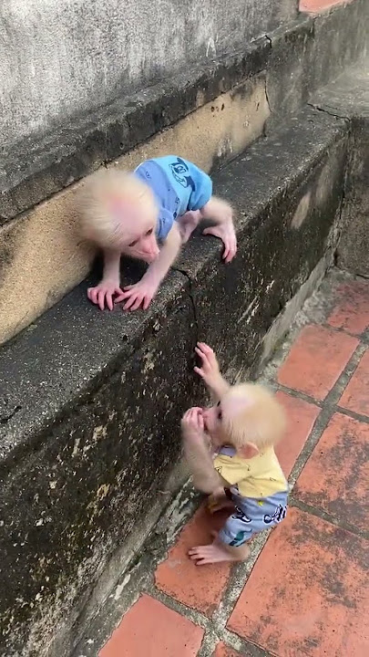 Happe so cute❤️
