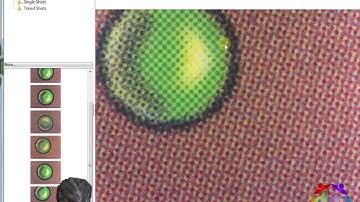 Learn how to spot FAKE Magic the Gathering Cards / MTG COUNTERFEITS,  Proxies vs REAL Examples Easy!