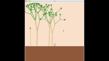 15-112 Spring 2017 Term Project: Fractal Forest