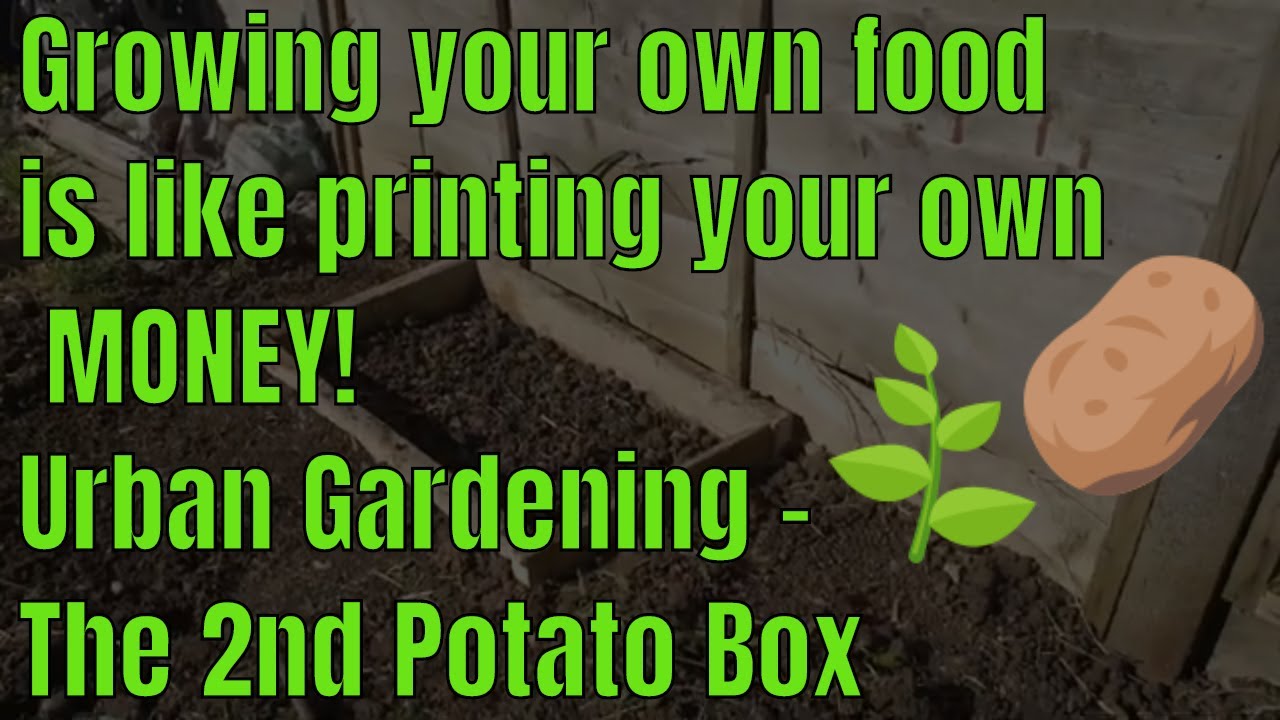 Growing your own food is like printing your own money! Urban Gardening