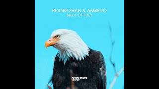 Roger Shah & Ambedo - Birds Of Prey (Original Mix)