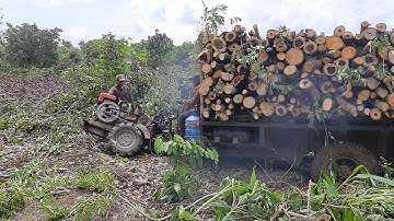 Mơ vlogs (40) xe công nông cầu đẩy chở củi các loại cái kết xuýt lật