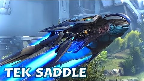 How to SPAWN the Tek Saddle for the Space Dolphin