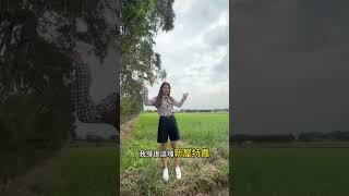 🌾｜新屋富岡超美農地｜投資自用兩相宜｜免課稅｜#農地 #桃園 #新屋  #上推薦通知我 #不要限流量 #桃園買地推薦