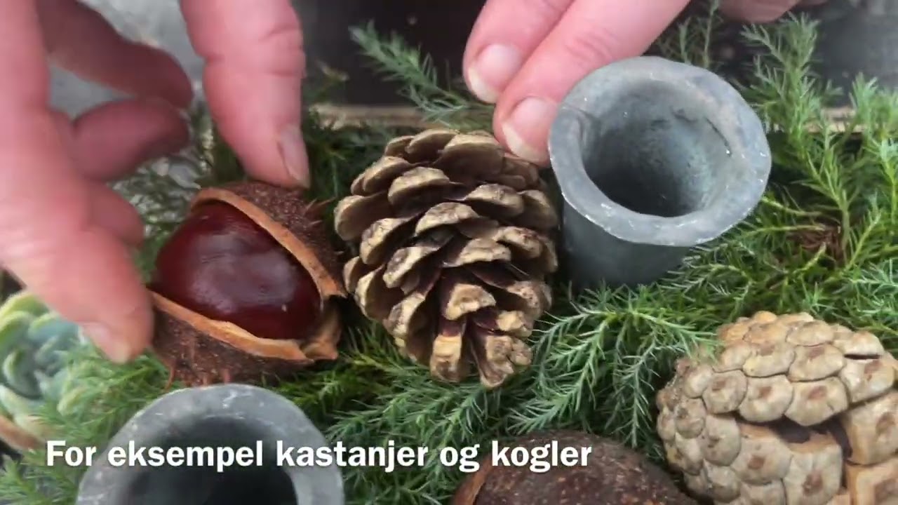 Claus Dalby | Jul 2022