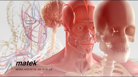 Medical industry clean room and hvac system Revit 3D animation #cleanroom #temizoda #pharma #hvac