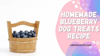 Homemade Blueberry Dog Treats Recipe