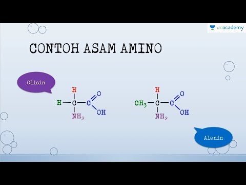 Struktur Asam Amino (Kimia - SBMPTN, UN, SMA)