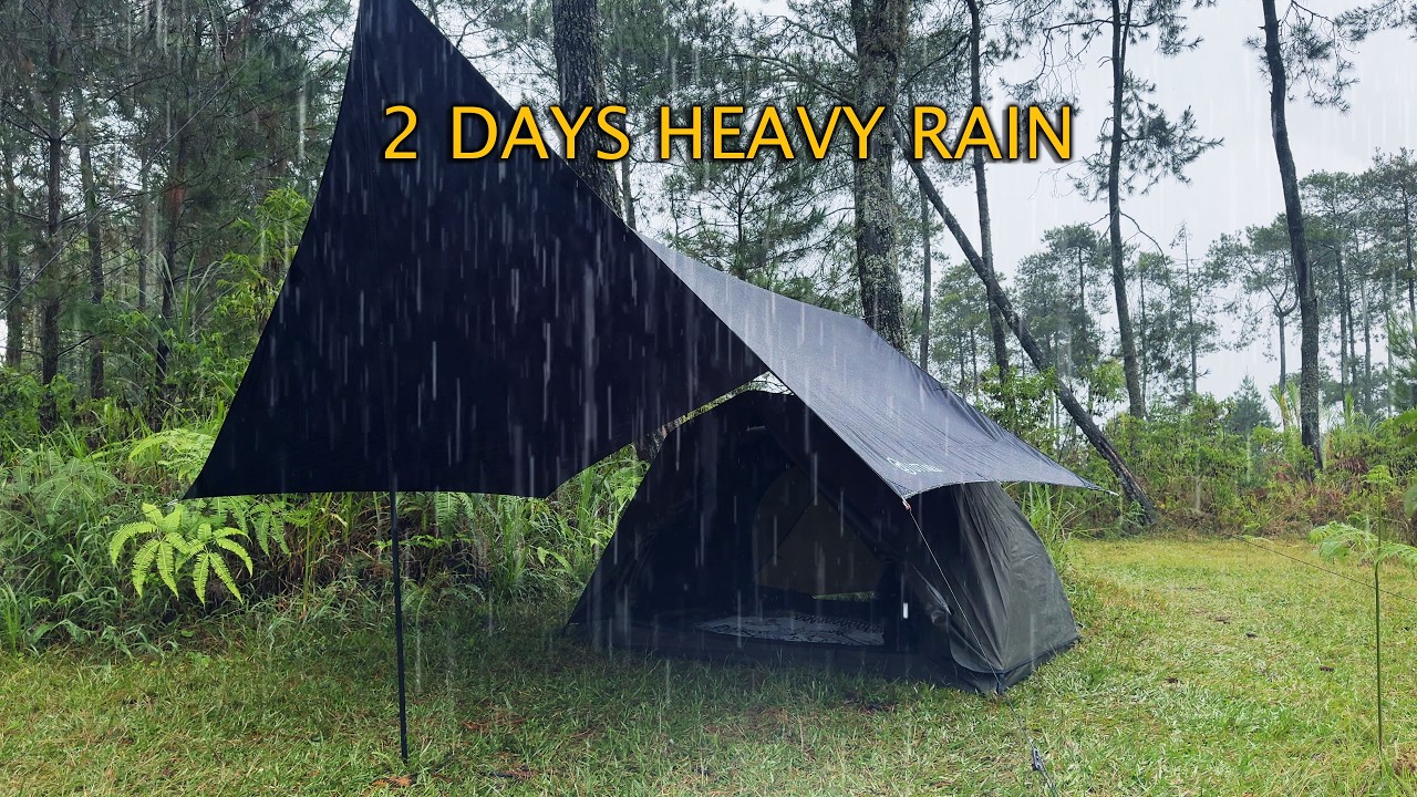 Super Long Heavy Rain with Thunderstorm‼️ 2 Days Camping in Heavy Rain with Thunderstorms‼️ ASMR
