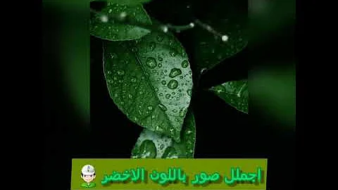 4nono أناشيد جميلة ومفيده للأطفال مشاركة من صديقة الصفحة شكرا نشيد عن الأشكال الهندسية أنا الصديق المستطيل اسمي على رسمي جميل صديقتي مدورة سميتها بالدائرة لي صاحب مثلث وآخر مربع