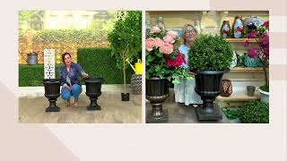 Barbara King 22" Tall Grecian Urn Resin Planter on QVC