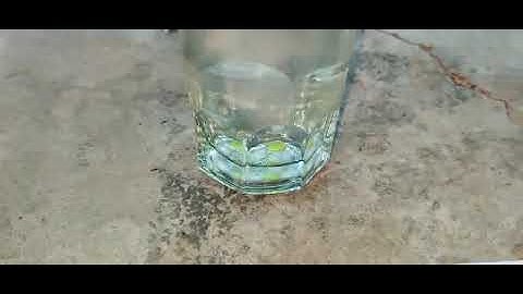NAGMANI AVAILABLE ORIGINAL REAL FLOWER TEST CALL ME 9850478643 RUBY ROY