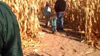 Video 18 Cornbelly's corn maze, Thanksgiving Point
