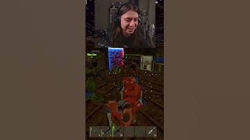 I played with a blind rust player...