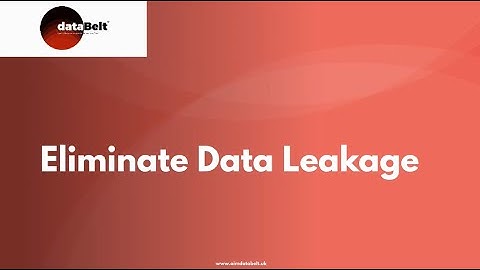 dataBelt® - Eliminate Data Leakage