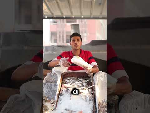 محل سمكه عامل ليكم عرض الافتتاح 5 سندوتش جمبري وطبق شربه جمبري ب 100ج