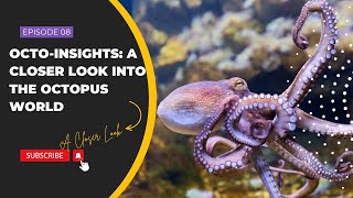 Octo-Insights: A Closer Look into the Octopus World