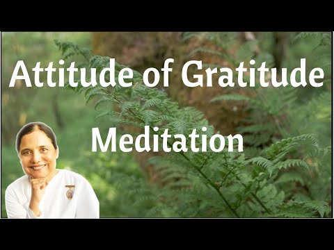 12. Attitude of Gratitude -- Meditations for the New Normal