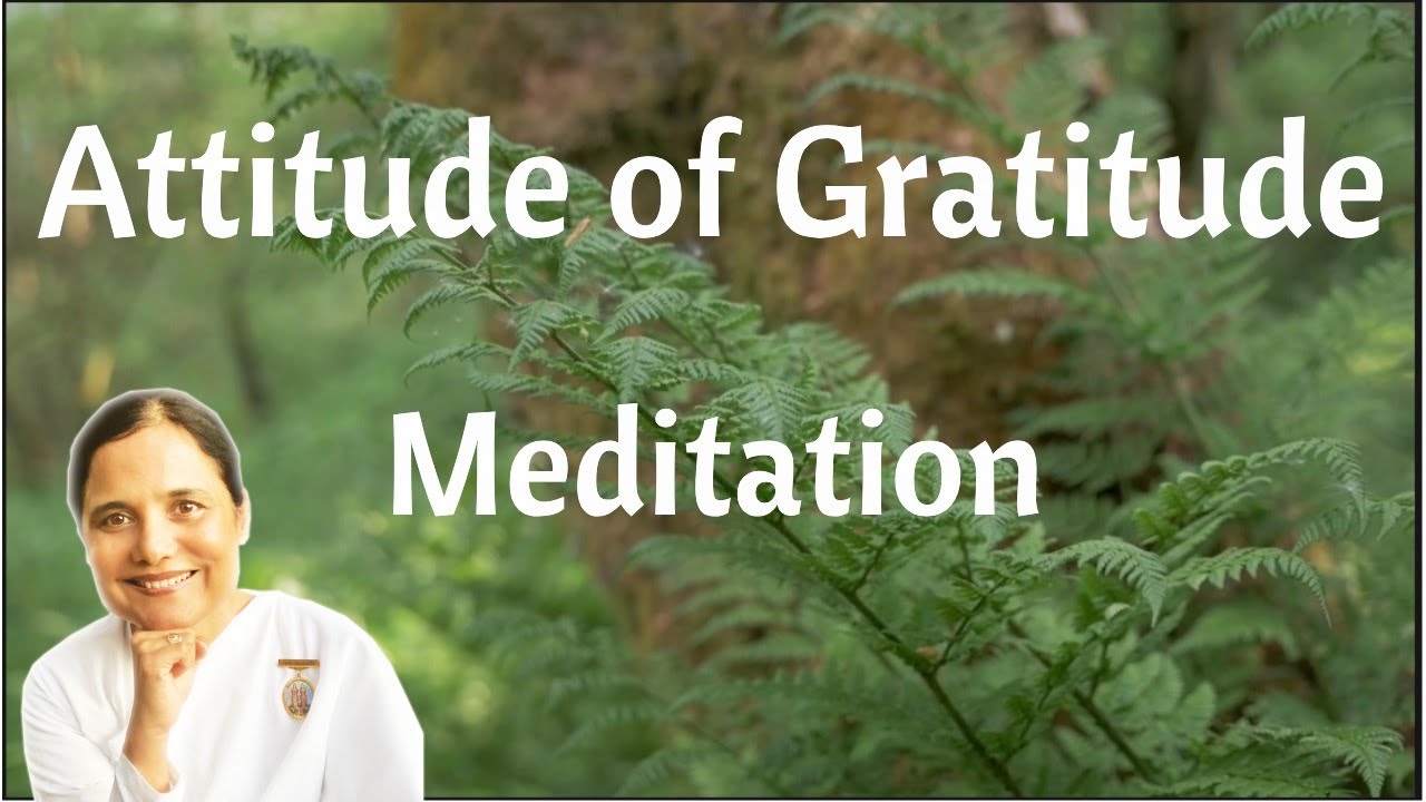 12. Attitude of Gratitude Meditations for the New Normal YouTube