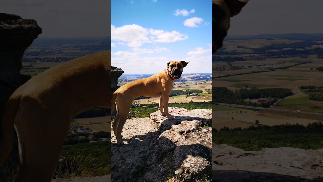 #путешествия