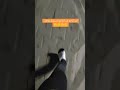 هي مخافت الله الي وصلتني لهوني ينسرق بوطي بنص اجامع 